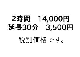 豊田,岡﨑,安城,コンパニオン【パーティーコール】,料金