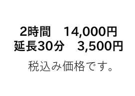 豊田,岡﨑,安城,コンパニオン【パーティーコール】,料金