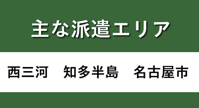 豊田,岡﨑,安城,コンパニオン【パーティーコール】